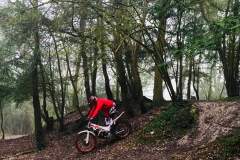 FB_IMG_1675341066598