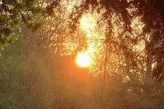 FB_IMG_1675341097514