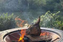 FB_IMG_1675341139172