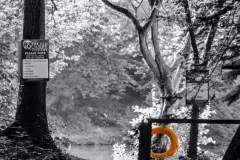 FB_IMG_1675341191604